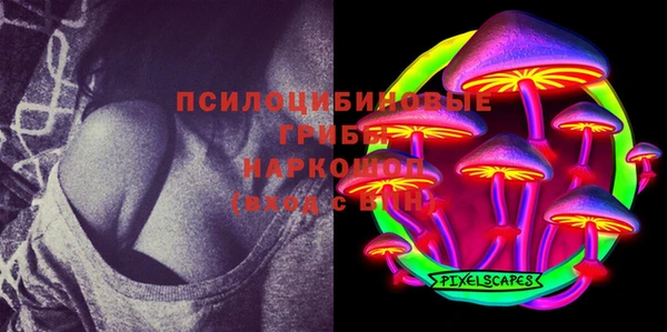 бошки Бугульма
