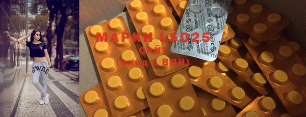 PSILOCYBIN Сосновоборск