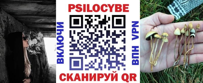 Галлюциногенные грибы Cubensis  Медногорск 