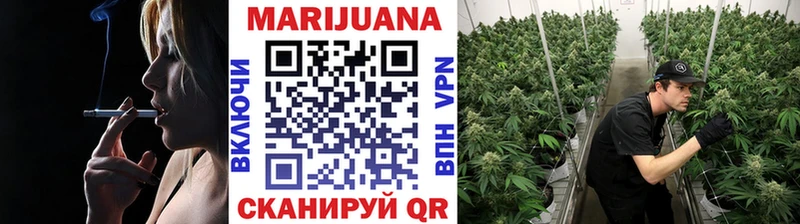 Канабис сатива  где продают наркотики  Медногорск 
